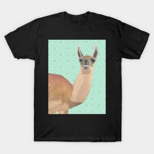 Llama Against Green Diamonds Background T-Shirt